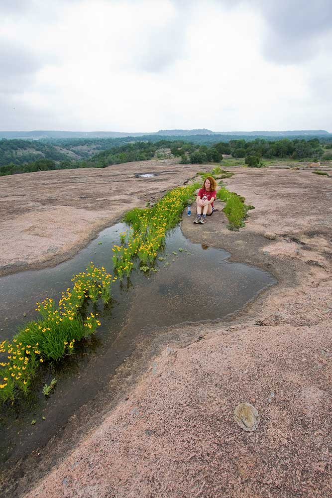 vernal pools